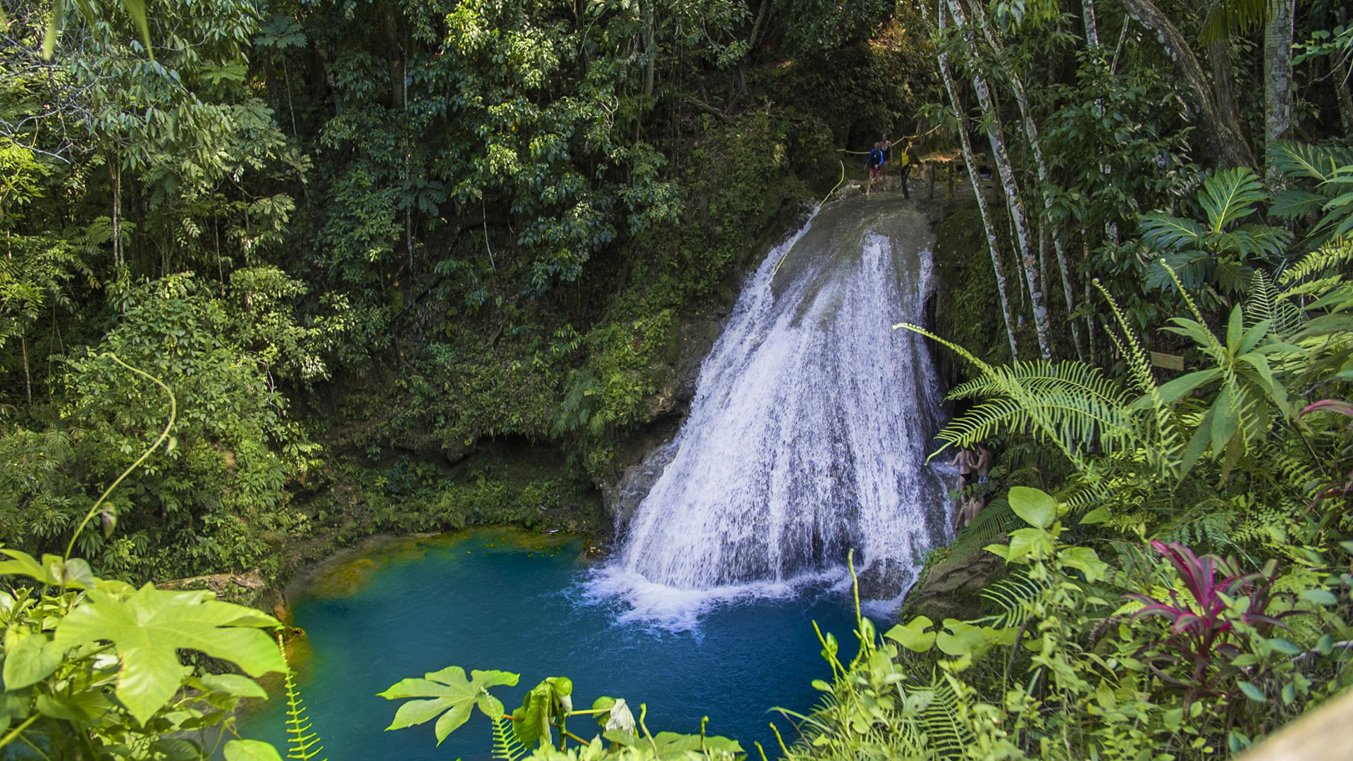 Blue Hole Swimming and Rafting - Irie Jamrock Tours